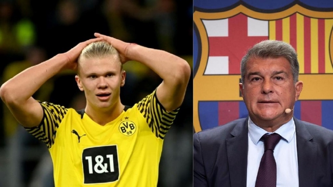 生产订单排到明年3月！今年我国已注册滑雪相关企业超2300家